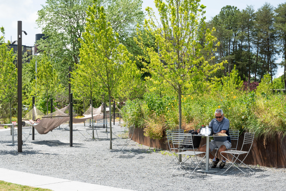 person sitting outside on Tech campus