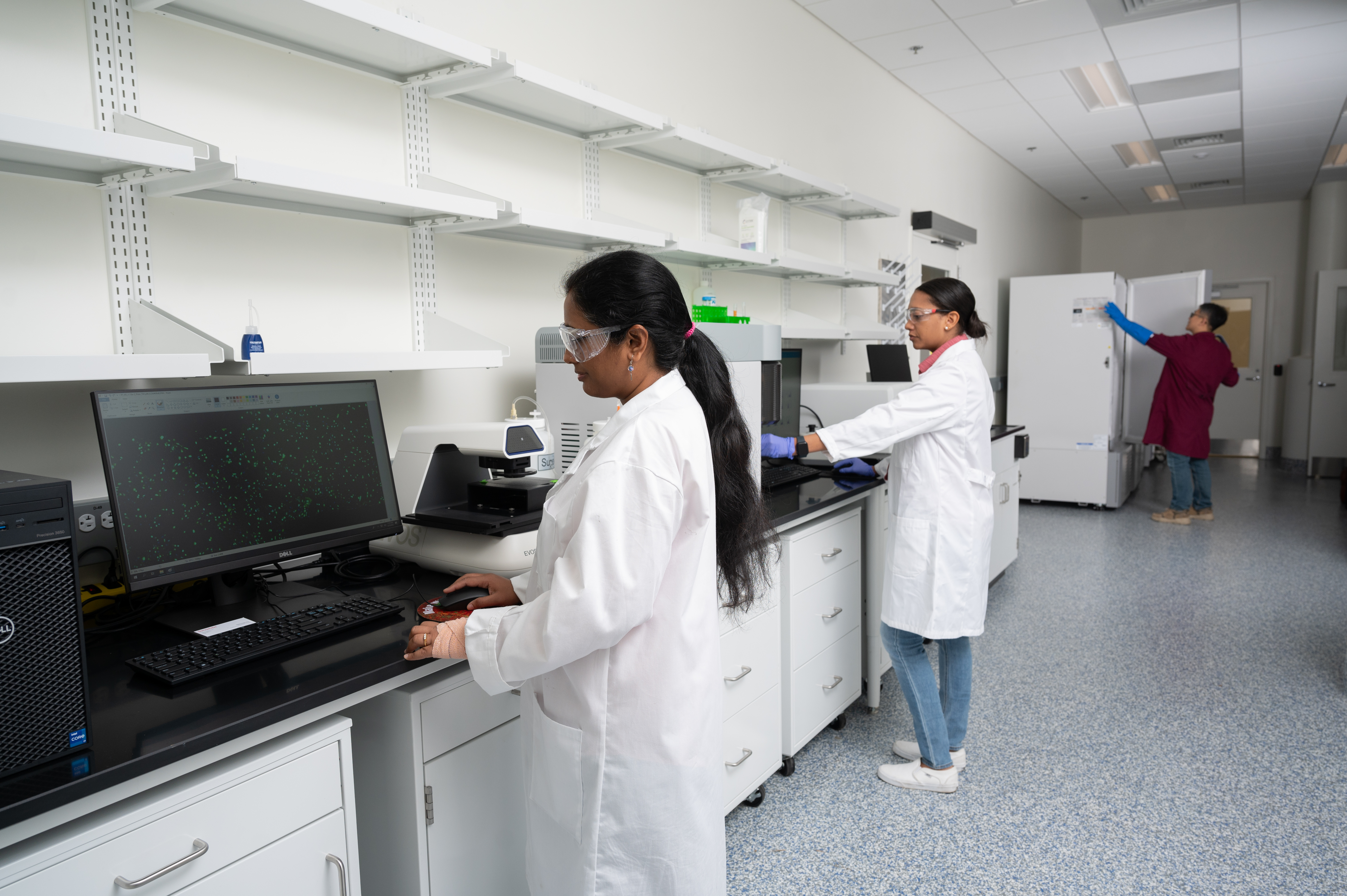BioSpark Labs' members access shared equipment at no additional cost per usage. Featured equipment in this photo include EVOS M7000 fluorescent imaging system, Cytek Northern Lights 24-color spectral flow cytometry system, BioTek Synergy H1 microplate reader, and TSX -80C freezers. 
