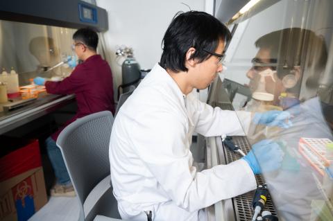 Karnelian X researchers working in their private tissue culture room