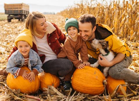 Family in pumpkin patch