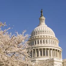 US-Capital-with-Cherry-Blossoms.jpg