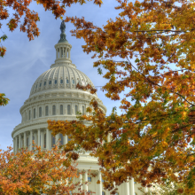 Capital Building in the Fall.png