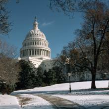 U.S Capital Building 