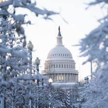 US-Capital-Building-with-Snowy-Trees.jpg